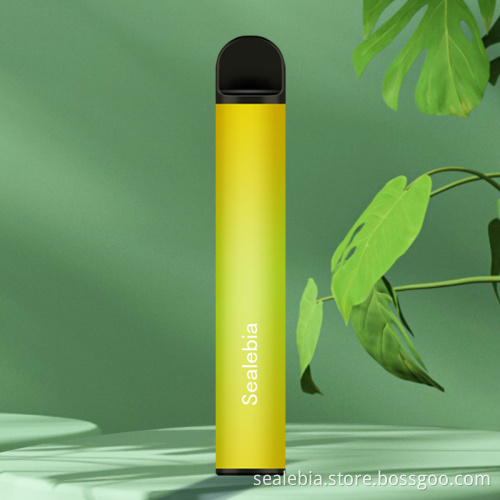2500 puffs Disposable E Cig